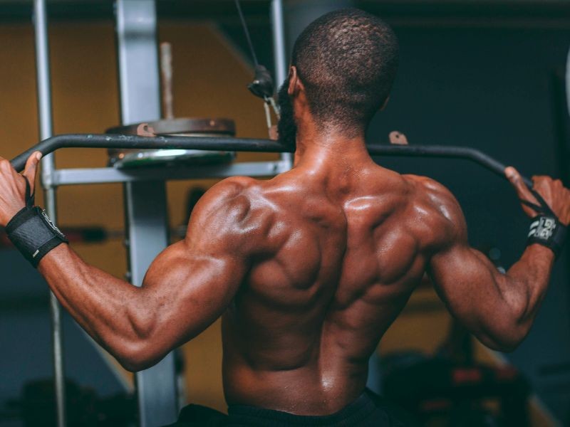 Ganho de Massa Muscular: O Guia Completo da Nutrição para Hipertrofia