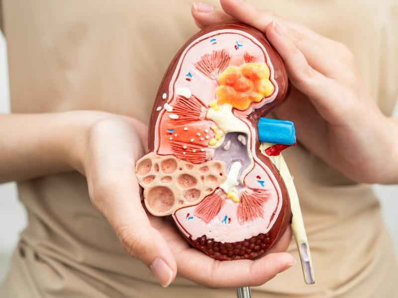 Consulta para Tratamento de Reduçao de Inflamaçao